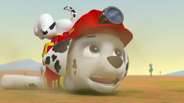 File:PAW.Patrol.S02E07.The.New.Pup.720p.WEBRip.x264.AAC 62663.jpg