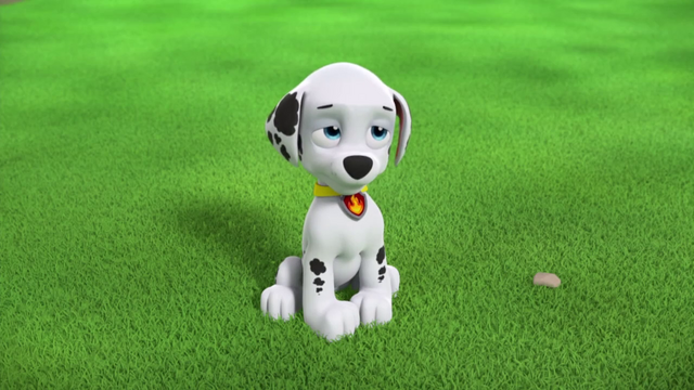 File:Vlcsnap-2015-04-14-12h20m22s224.png