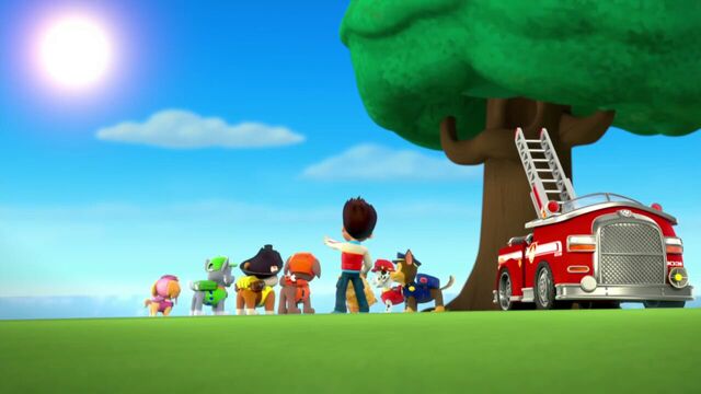 File:PAW.Patrol.S01E26.Pups.and.the.Pirate.Treasure.720p.WEBRip.x264.AAC 1004804.jpg