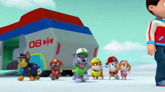 File:PAW.Patrol.S02E07.The.New.Pup.720p.WEBRip.x264.AAC 742075.jpg