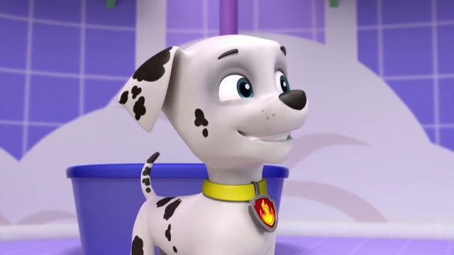 File:Vlcsnap-2014-04-11-19h31m32s149.png