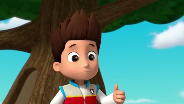 File:PAW Patrol Season 2 Episode 10 Pups Save a Talent Show - Pups Save the Corn Roast 290257.jpg