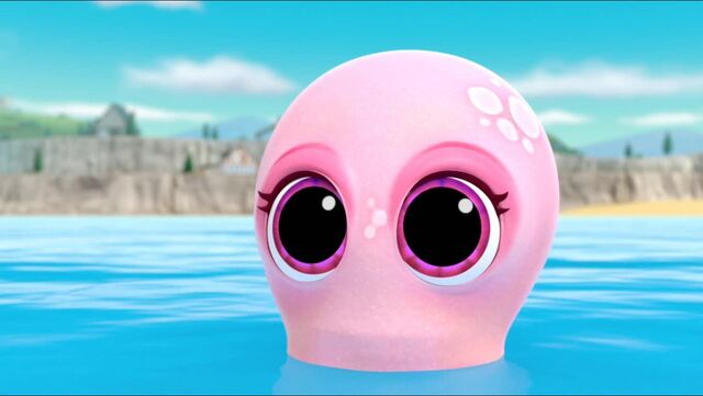 File:Baby Octopus 19.jpg