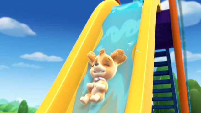 File:Pp875.png