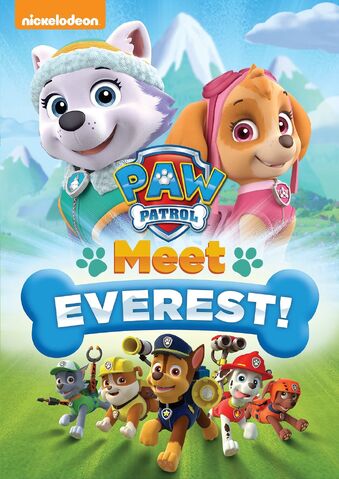 File:Meet Everest cover.jpg