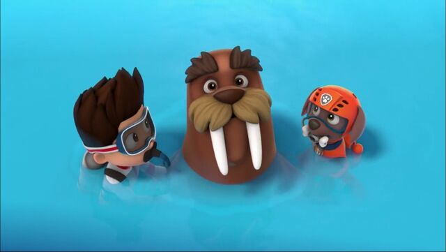 File:PAW Patrol - Wally the Walrus - Ryder and Zuma.jpg