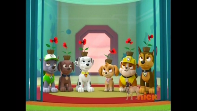 File:Pp2456.png