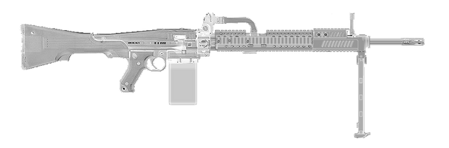 File:Ameli-Combat.png