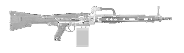 File:Ameli.png