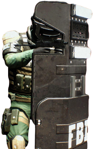 File:FBIS.png