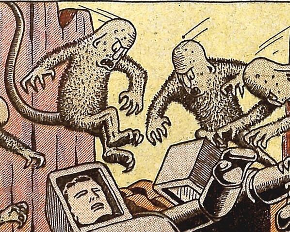 File:Sandrats.jpg