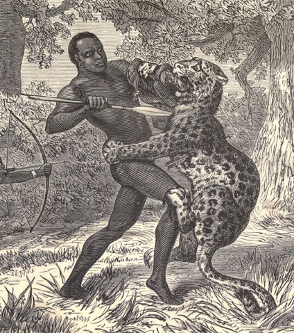 File:1873Simba.jpg