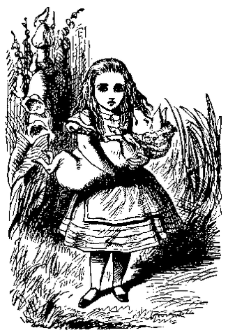 File:PigBabyAlice.gif