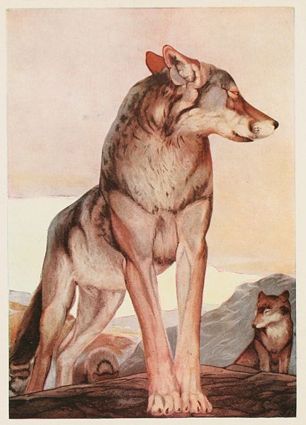 AKELA