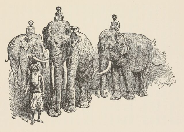 File:T2JB503 - illustration.jpg