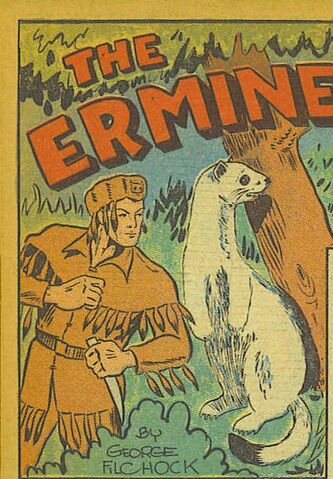 File:Ermine.jpg