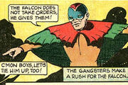 Falconmlj