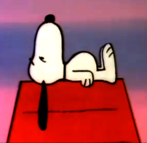 File:AmigosperdemoSono.png
