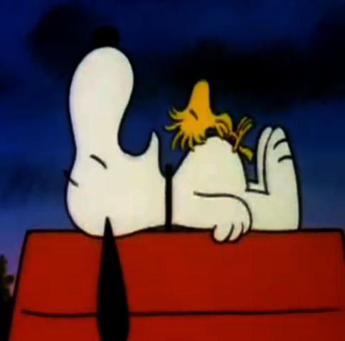 File:AmigosDormemJuntos.png