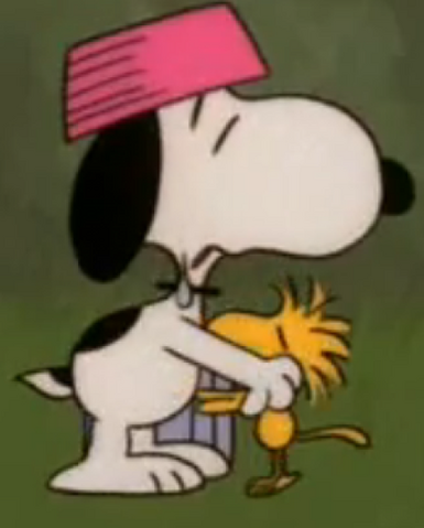 File:AmparoAmigo.png