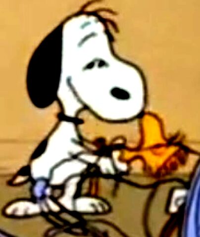 File:SavemyFriend.jpg