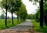 Brusselseweg.jpg