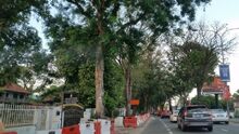 Green Lane, George Town, Penang