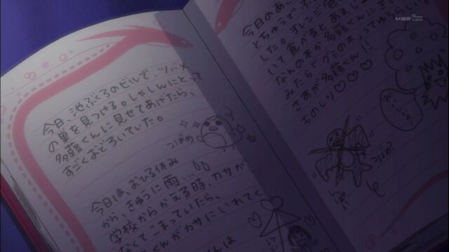File:Diary b.jpg