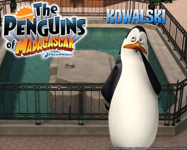 File:Madagascar-Wallpaper--kowalski.jpg