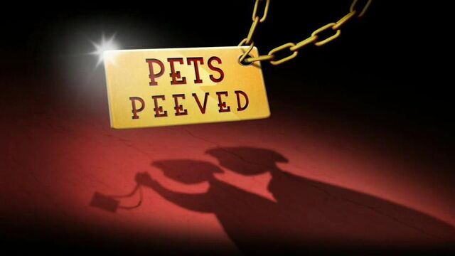 File:56a - Pets Peeved.jpg