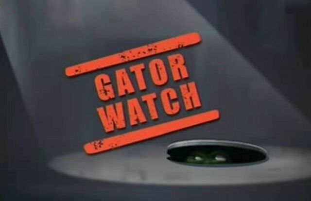 File:Gator-Watch-Title.jpg