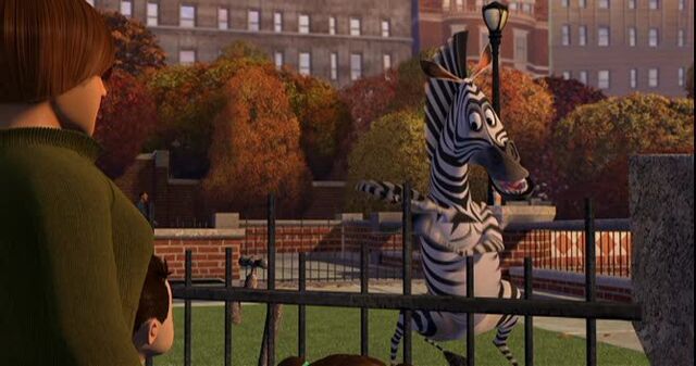 File:Zebra 6.jpg