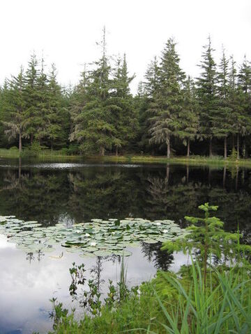 Lochan Torr Tuill - geograph.org.uk - 1458254