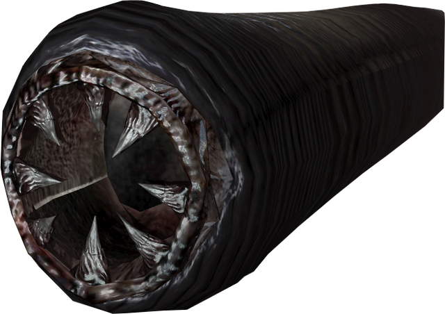 File:WormCutout1.png