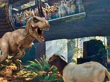 T-Rex Kingdom