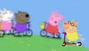 Race