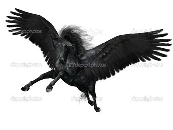 Black jack.jpg