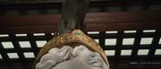 PerlaAtenea.jpg