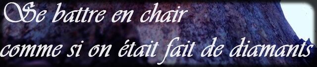 Fichier:Se battre en chair comme si on était fait de diamants.jpg