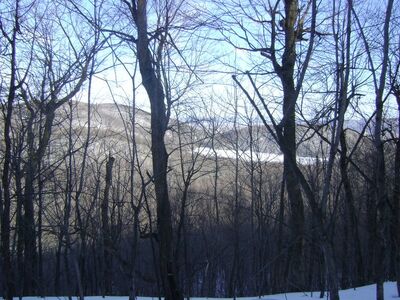Hiver 2.jpg