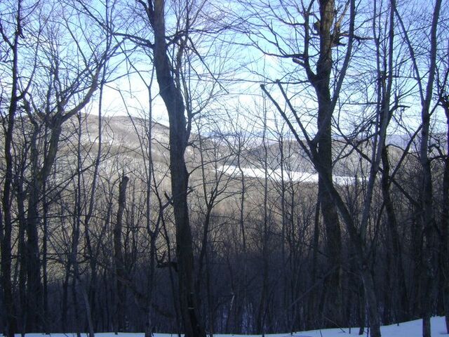 Fichier:Hiver 2.jpg