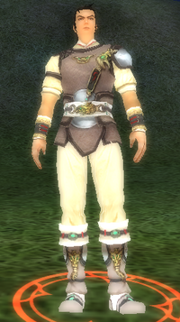 Errant Knight Fei