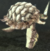 Amphibian Turtle