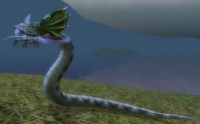 Barrens Boa