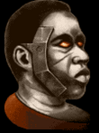 29.png