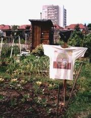 Allotment1
