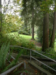 Viretta Park from above