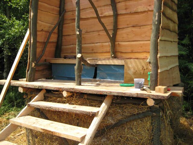 File:Treebog10.jpg