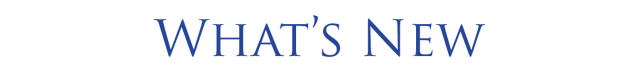 File:New.png