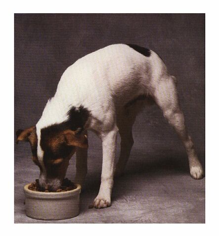 Archivo:Eat.jpg